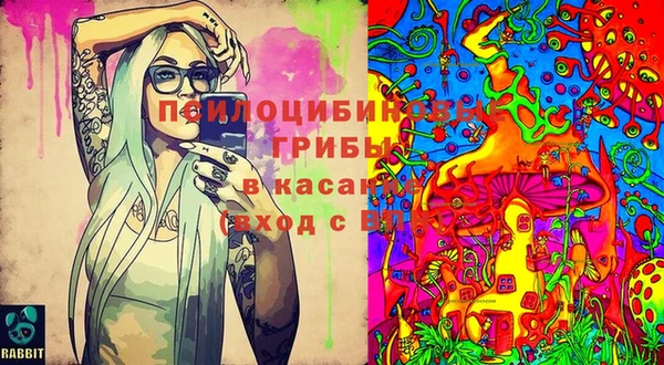 экстази Арсеньев