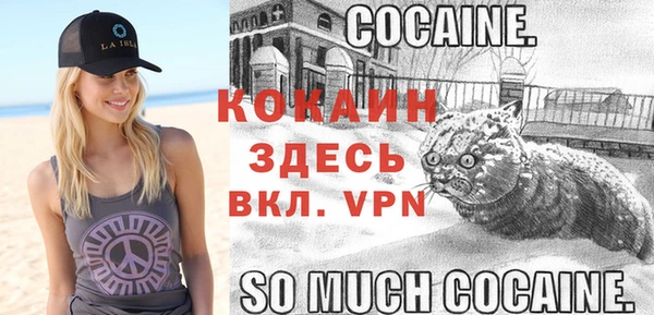 apvp Аркадак